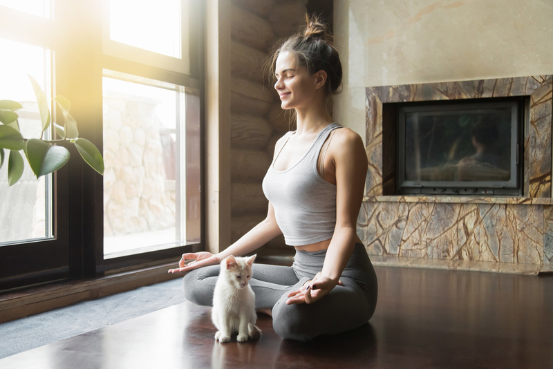 Got a Pet? Start Meditating | Shutterstock