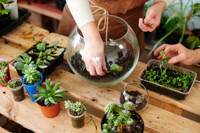 A Step-by-Step Guide to Making a Terrarium | Shutterstock